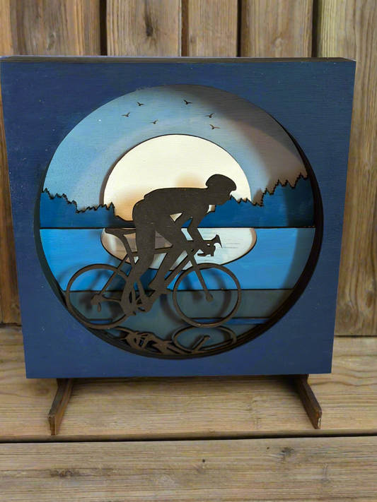 Bicycle Shadow Box
